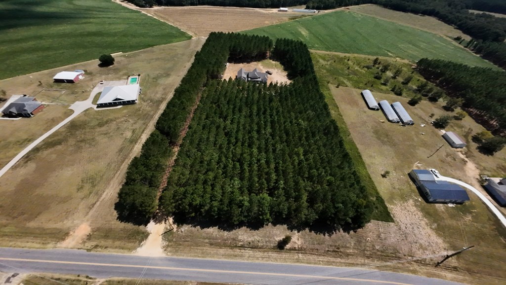 2236 Roney Road Dothan, AL 36303 - Photo 3 of 52 7.08 acres