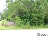 River Road Myrtle Beach, SC 29588 - Photo 2 of 5 Gallery Image 2