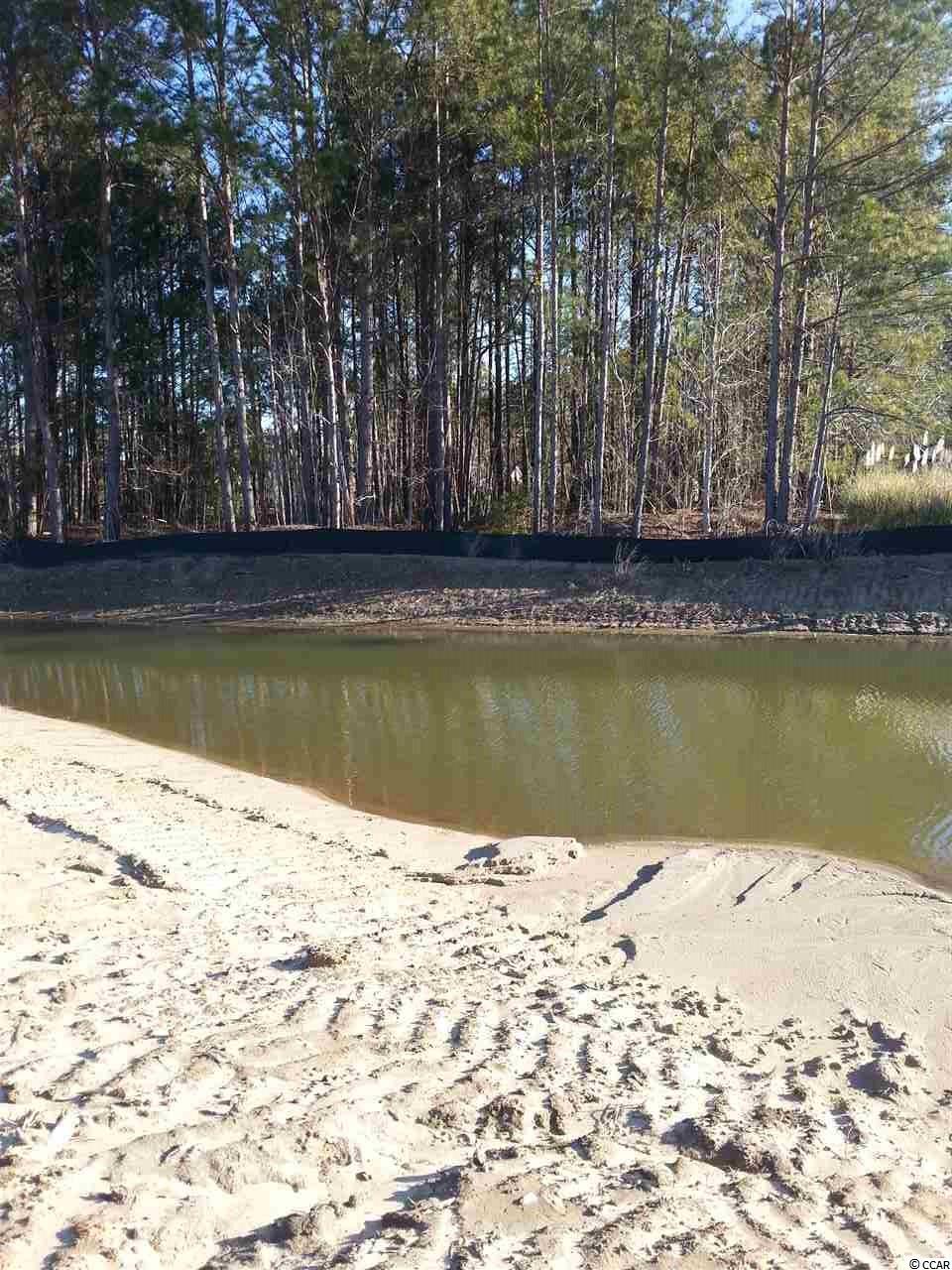 River Road Myrtle Beach, SC 29588 - Photo 5 of 5 Gallery Image 5