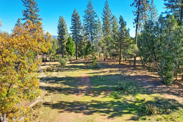 a view of yard covered with snow