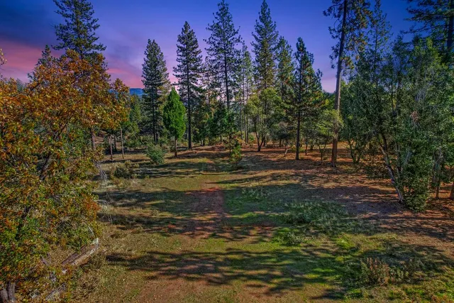 a view of a yard with a tree