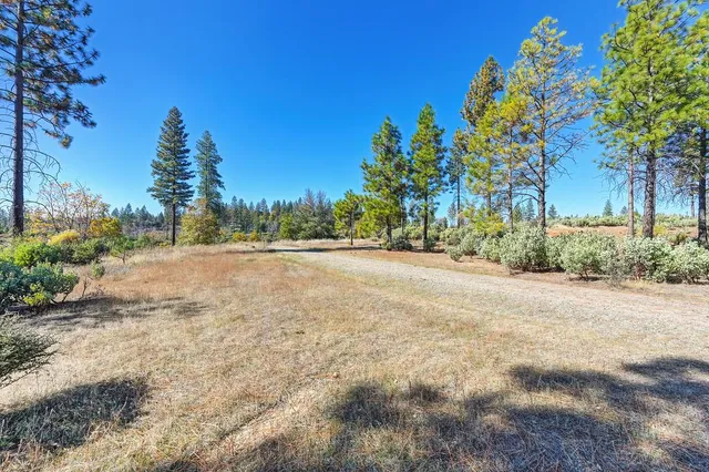 a view of road and trees