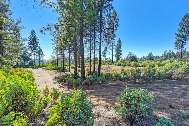 a view of yard with swimming pool and green space
