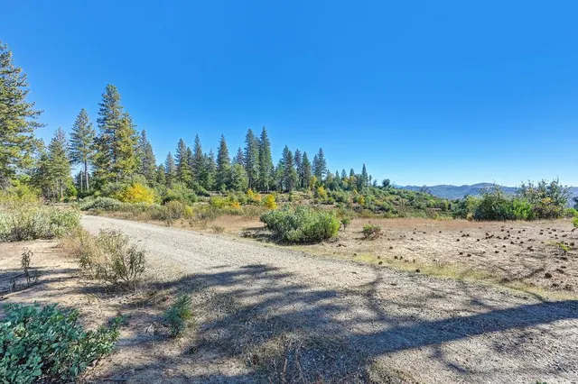 a view of a yard with a tree