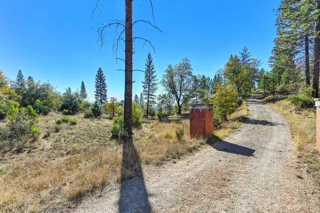 a view of a yard with a tree