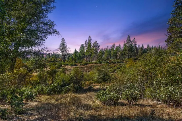 a view of outdoor space with trees