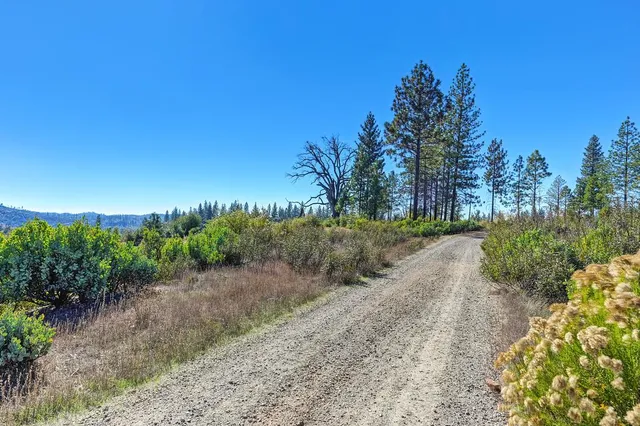a view of outdoor space with trees