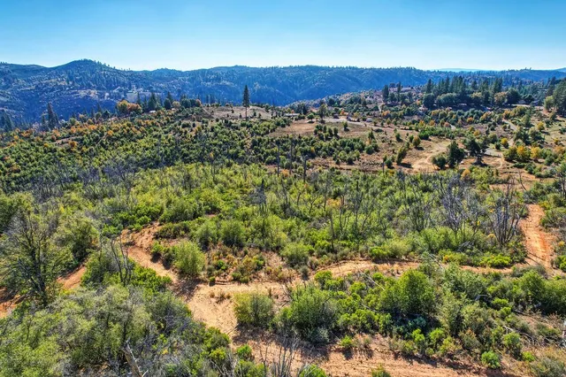 a view of a city with lush green forest