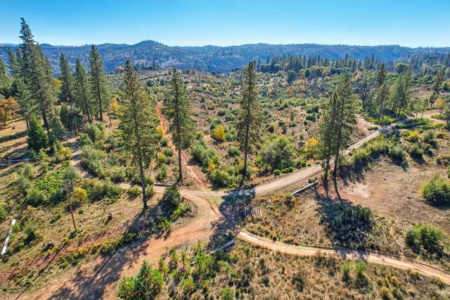 a view of a city with lush green forest