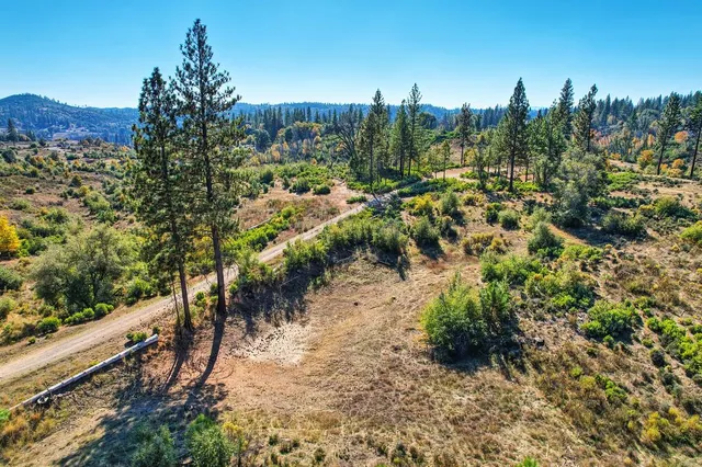a view of a forest with mountains in the background