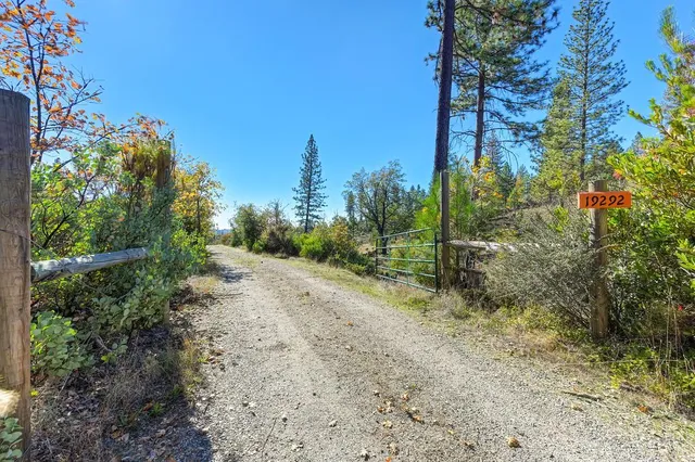 a view of a yard with plants and a trees