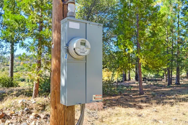 a view of a tree in front of a house