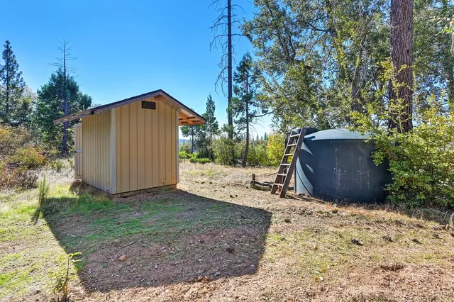 a view of a backyard with large trees and wooden fence