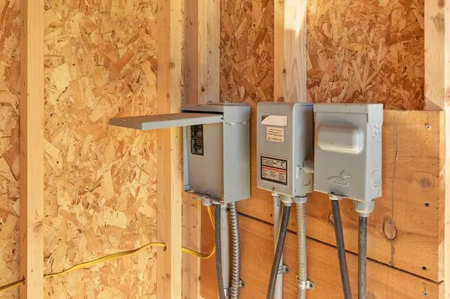 a view of a yard with plants and trees