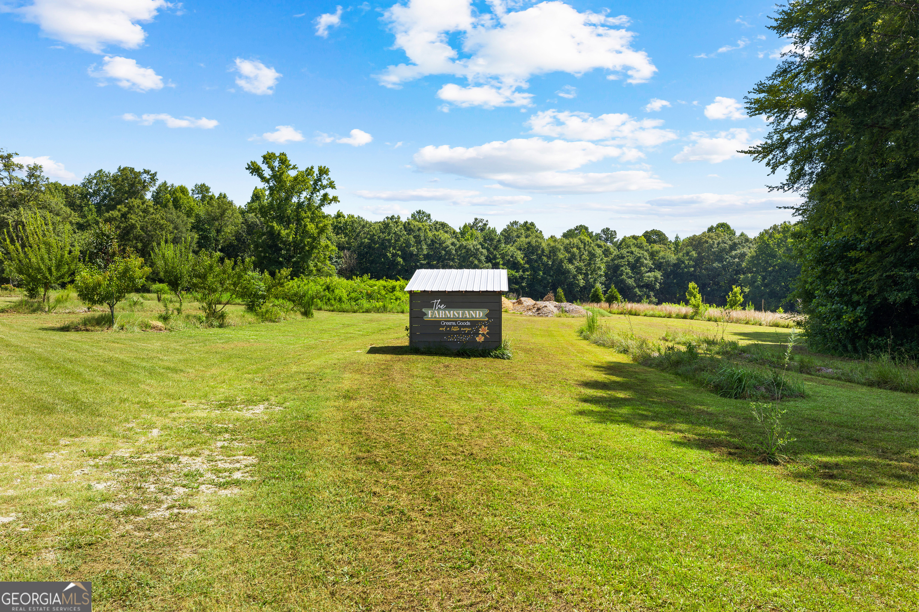 456 West McIntosh Road Brooks, GA 30205 - Photo 50 of 72
