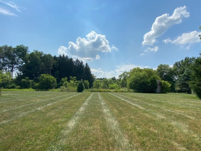 19016 Homer Road Marshall, MI 49068 - Photo 38 of 50 Photo 38