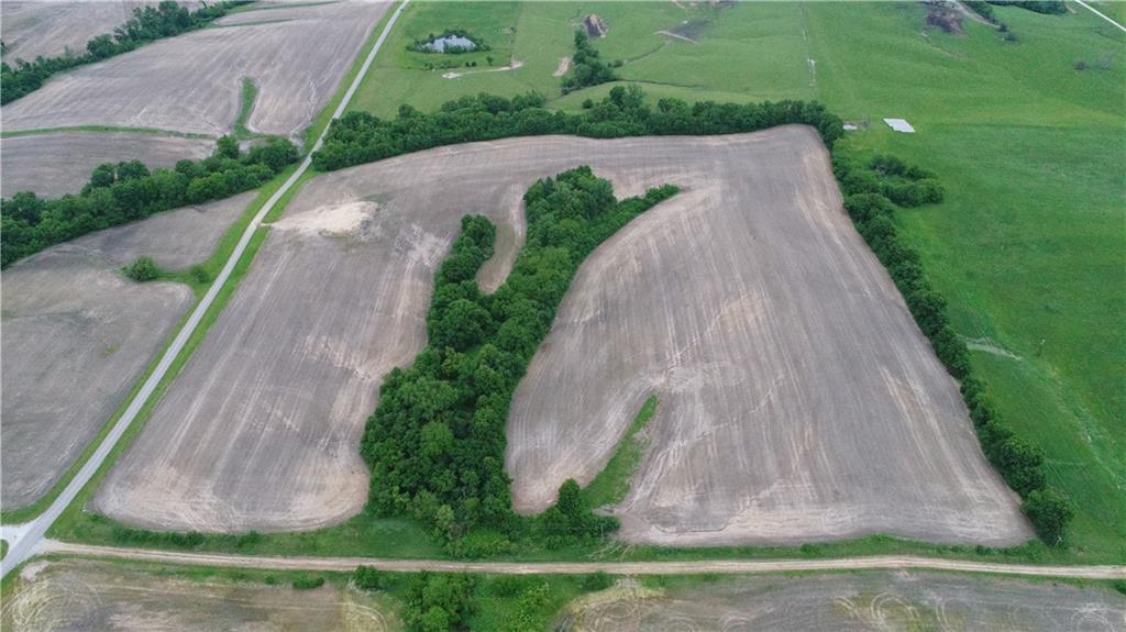 Cotton Road Purdin, MO 64674 - Photo 3 of 14