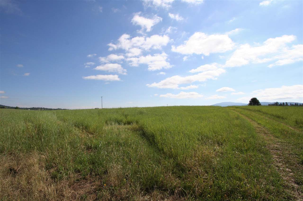 12115 South Bruna Road, Unit D Valleyford, WA 99036 - Photo 14 of 15 Gallery Image 14