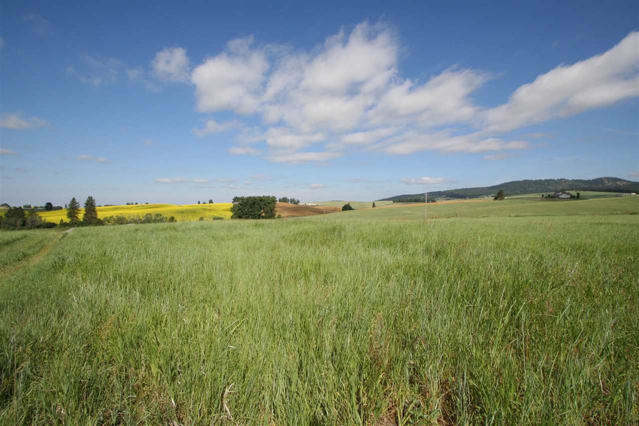 12115 South Bruna Road, Unit D Valleyford, WA 99036 - Photo 15 of 15 Gallery Image 15