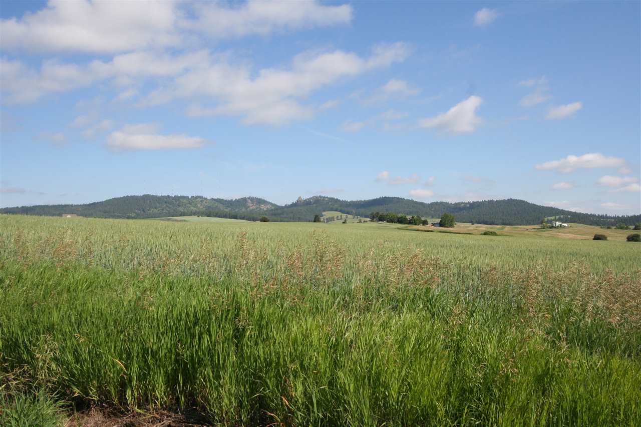 12115 South Bruna Road, Unit D Valleyford, WA 99036 - Photo 9 of 15 Gallery Image 9