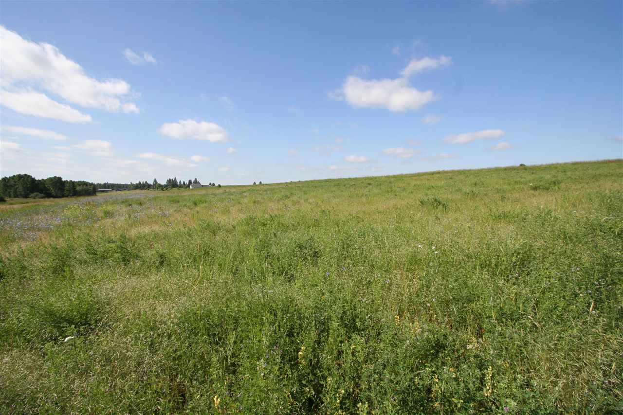 12115 South Bruna Road, Unit D Valleyford, WA 99036 - Photo 10 of 15 Gallery Image 10