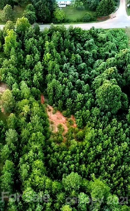 4 Will Green Road Tryon, NC 28782 - Photo 12 of 23 view of a lush green forest with lots of trees