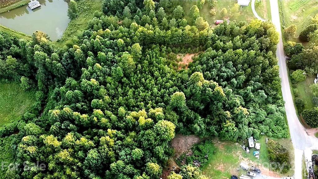 4 Will Green Road Tryon, NC 28782 - Photo 17 of 23 a view of a lush green forest