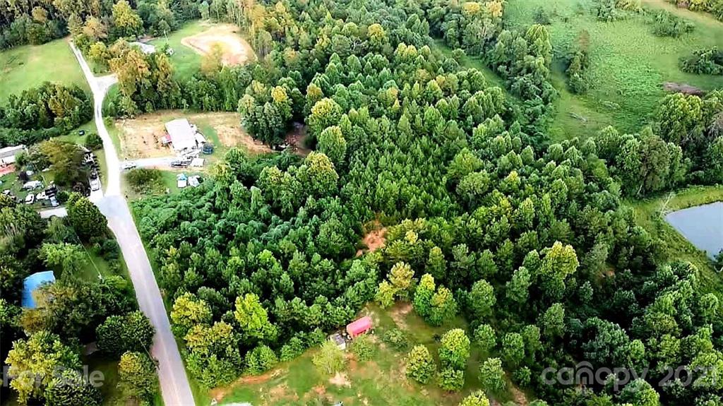 4 Will Green Road Tryon, NC 28782 - Photo 20 of 23 a view of yard