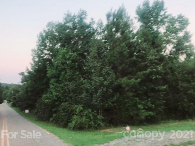 4 Will Green Road Tryon, NC 28782 - Photo 5 of 23 a view of a city street from a yard