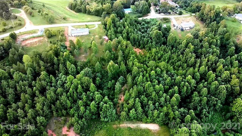 4 Will Green Road Tryon, NC 28782 - Photo 9 of 23 a view of a yard with plants