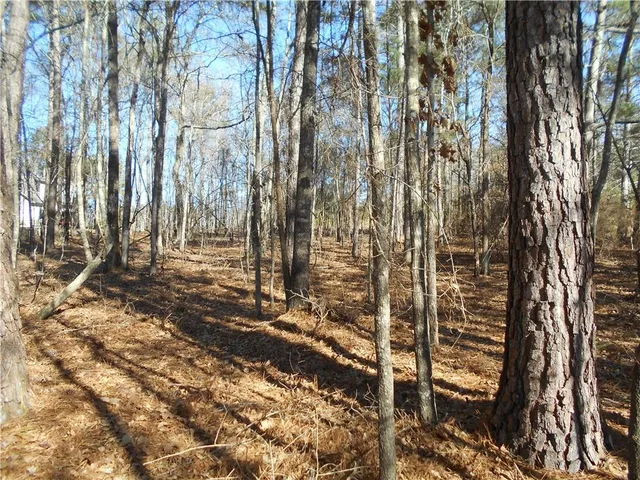 a view of outdoor space with lots of trees