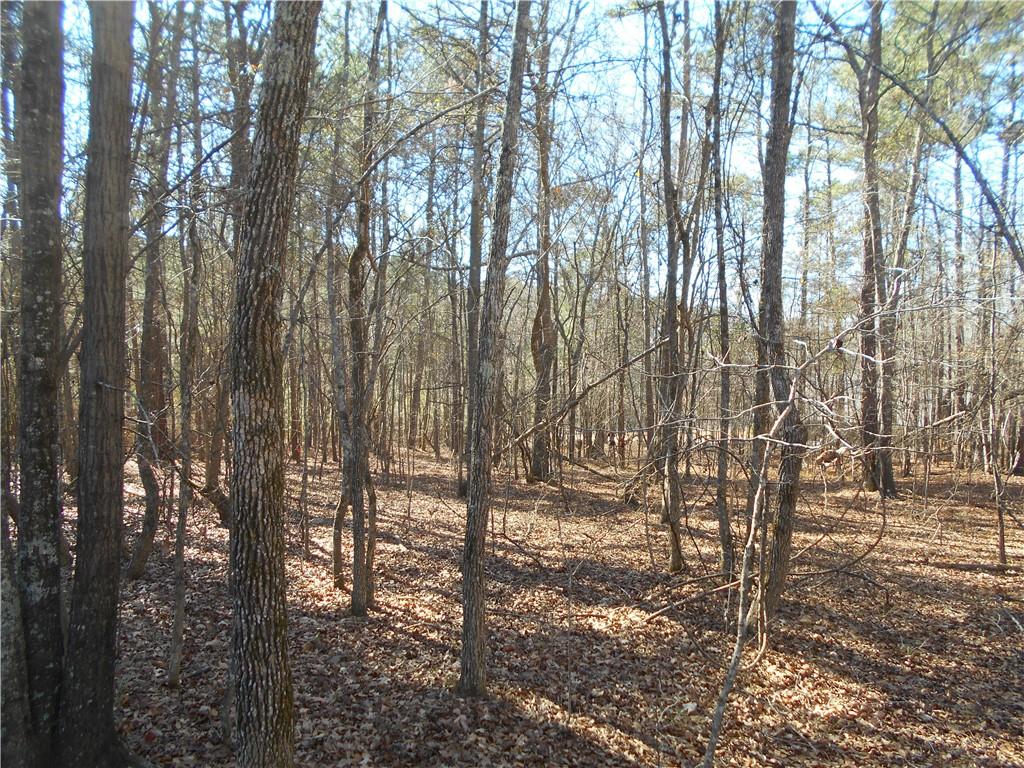 1201 Spinnaker Road Buckhead, GA 30625 - Photo 12 of 24 a view of outdoor space with lots of trees