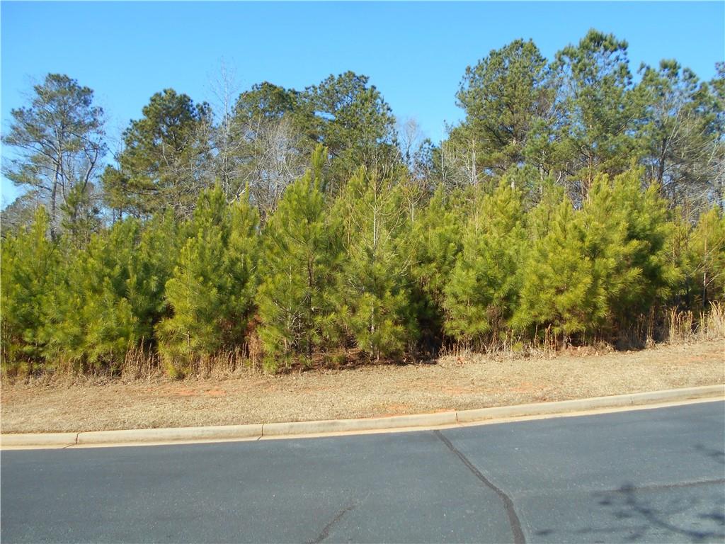 1201 Spinnaker Road Buckhead, GA 30625 - Photo 4 of 24 a view of a yard with a tree