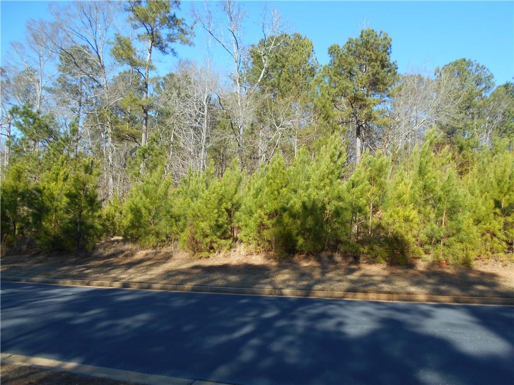 1201 Spinnaker Road Buckhead, GA 30625 - Photo 5 of 24 a view of a yard with plants and wooden fence