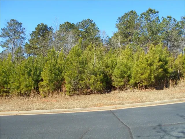 a view of yard and mountain view