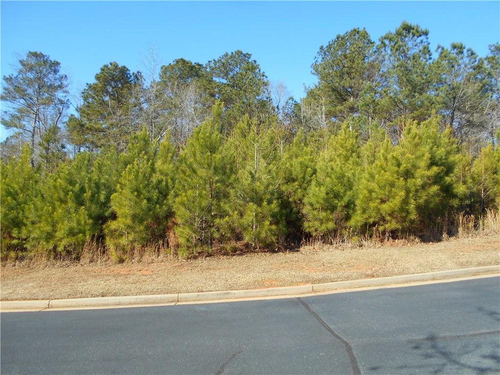 1201 Spinnaker Road Buckhead, GA 30625 - Photo 6 of 24 a view of a yard with a tree