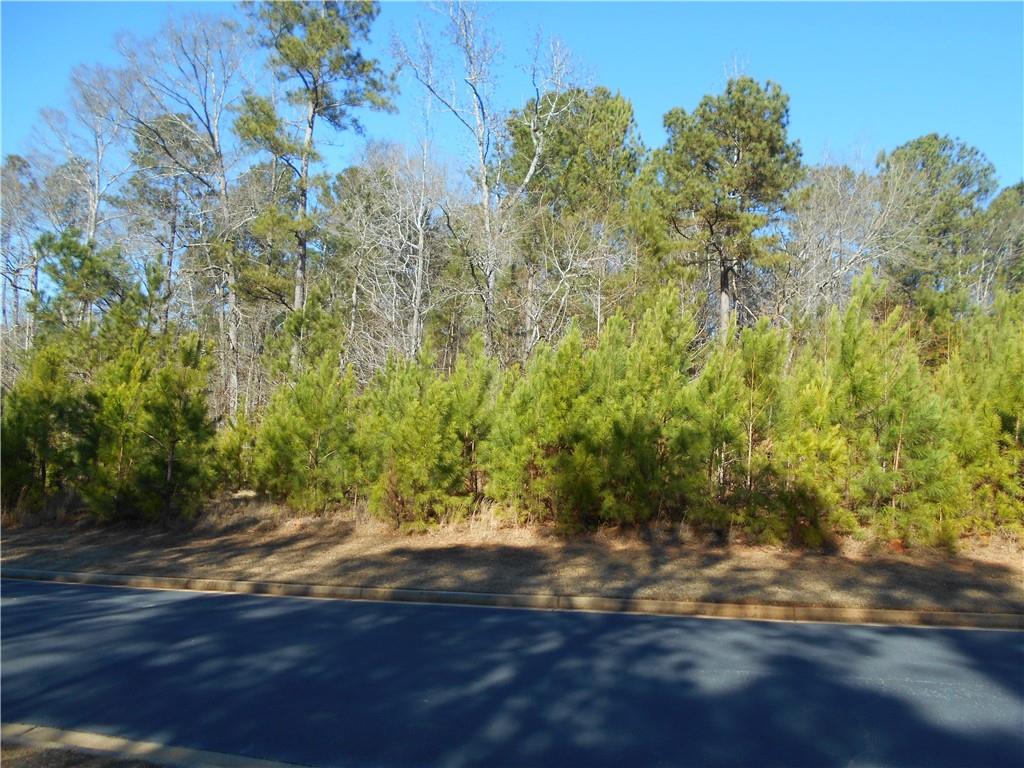 1201 Spinnaker Road Buckhead, GA 30625 - Photo 8 of 24 a view of a yard with plants and wooden fence