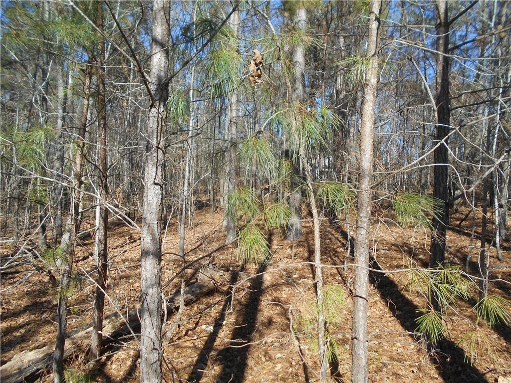 1201 Spinnaker Road Buckhead, GA 30625 - Photo 9 of 24 a picture of a tree