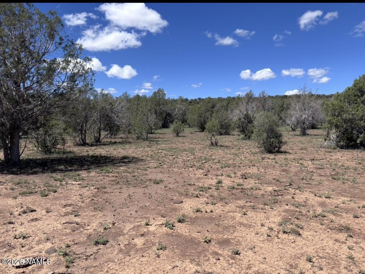 220 East Six Shooter Road Williams, AZ 86046 - Photo 31 of 32 IMG_4348