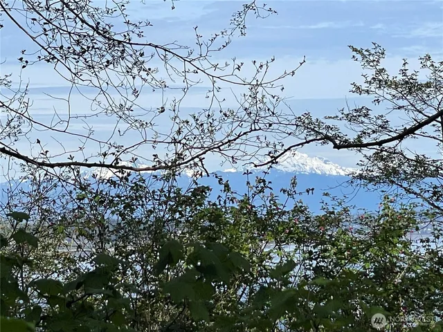 a view of a tree in a field