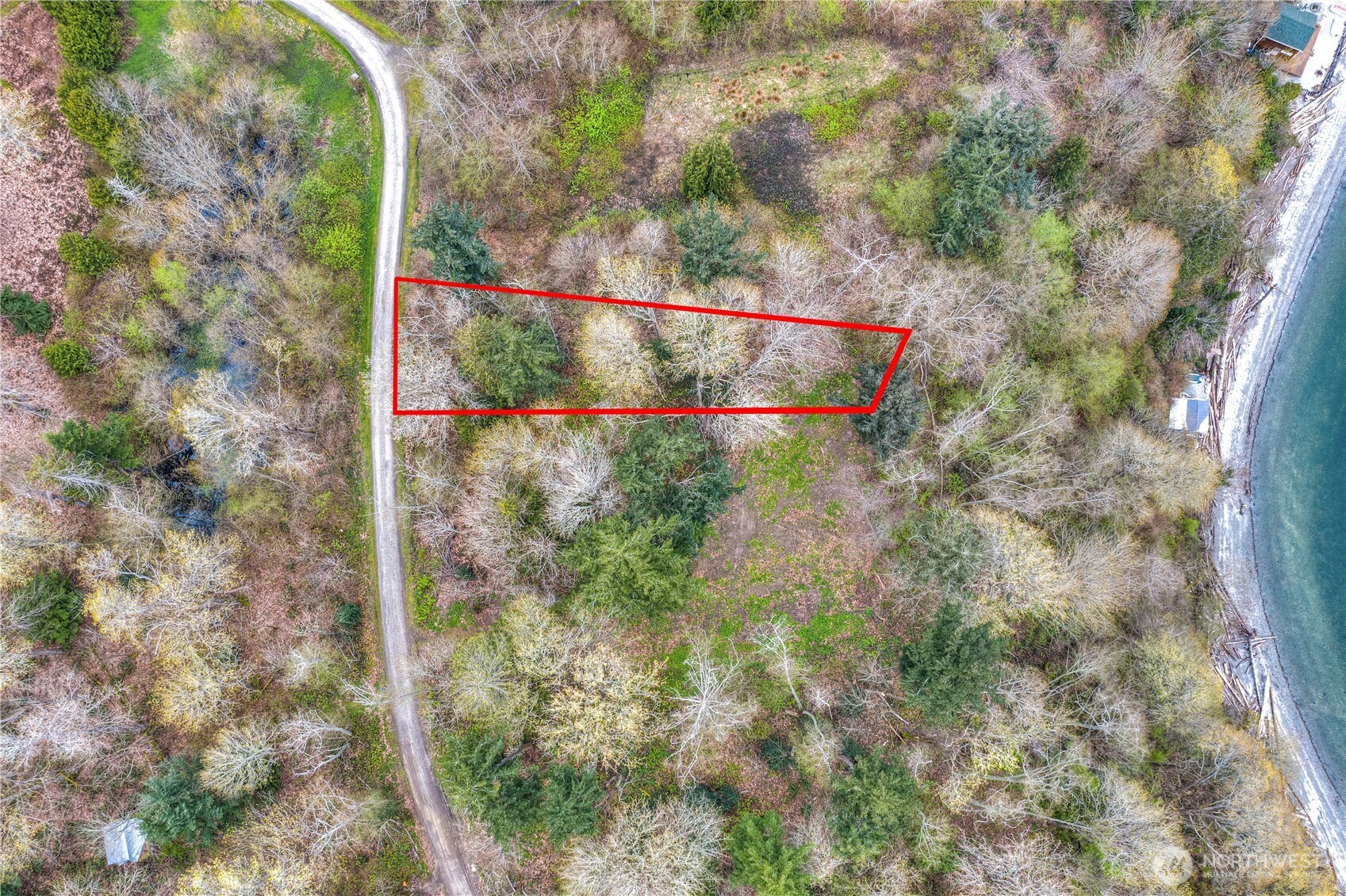 29 K Beach Way Everett, WA 98206 - Photo 32 of 32 a view of a forest