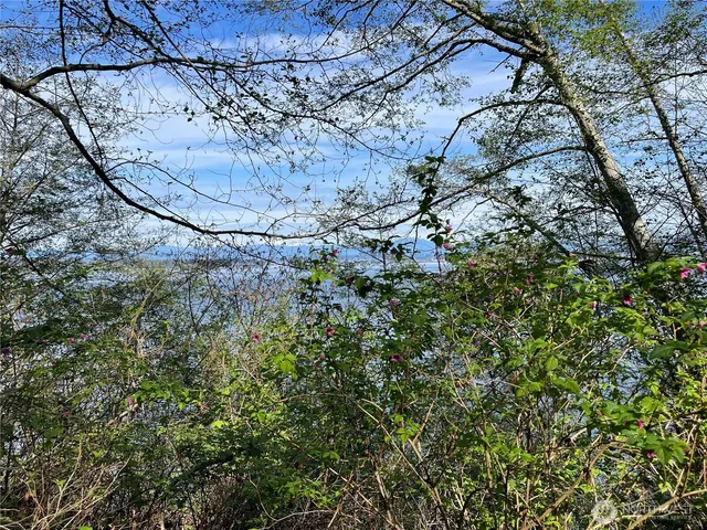a view of a backyard of a house