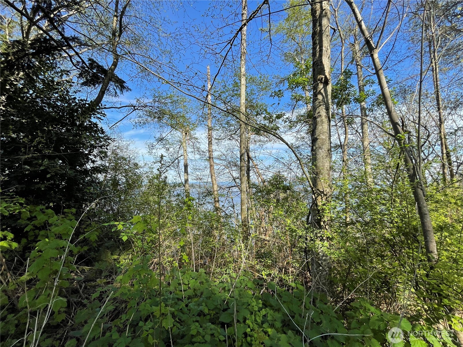 29 K Beach Way Everett, WA 98206 - Photo 9 of 32 a backyard of a house with lots of green space
