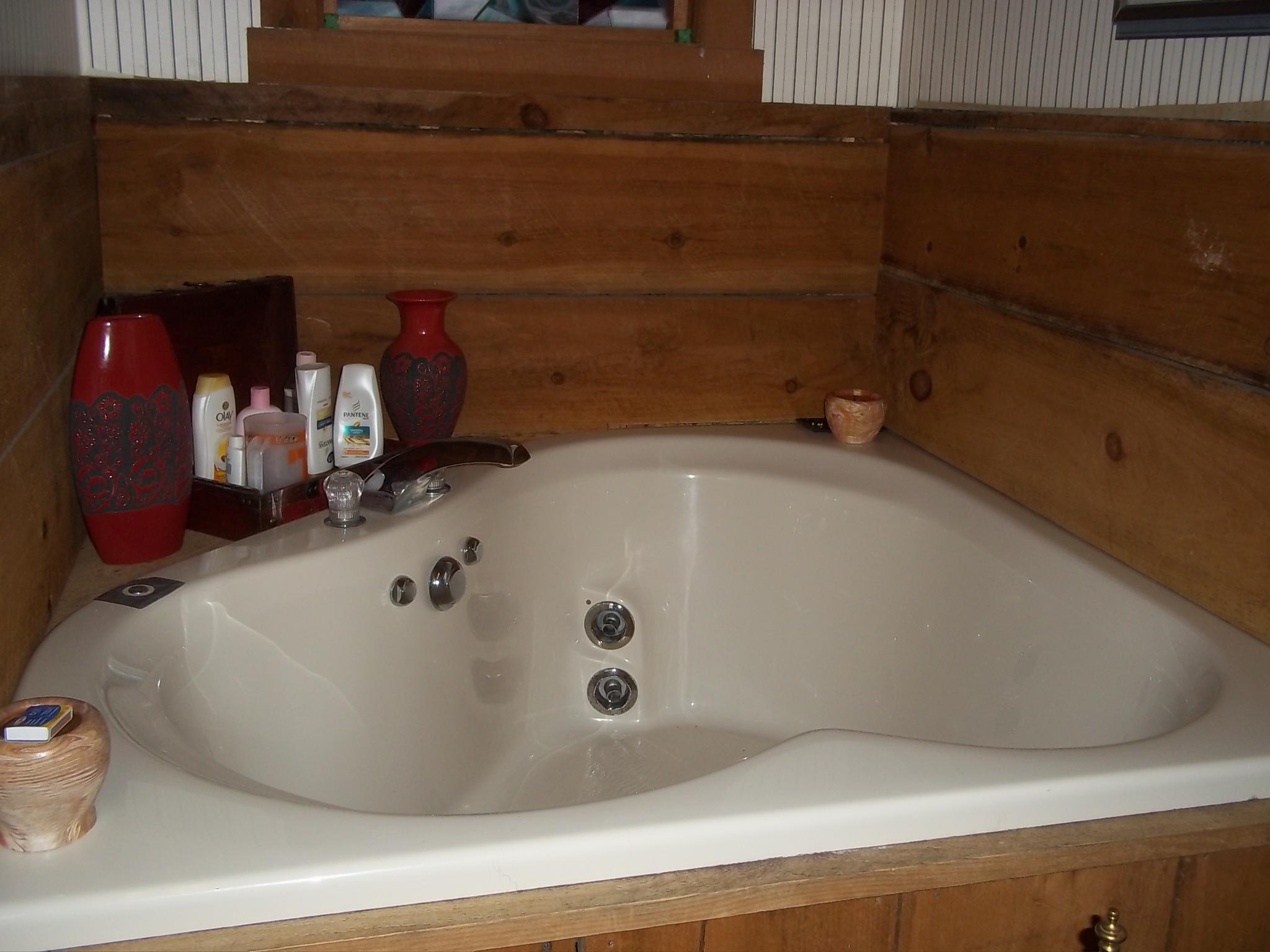 111 Timberwinds Way Townsend, TN 37882 - Photo 14 of 20 located in 3rd bedroom