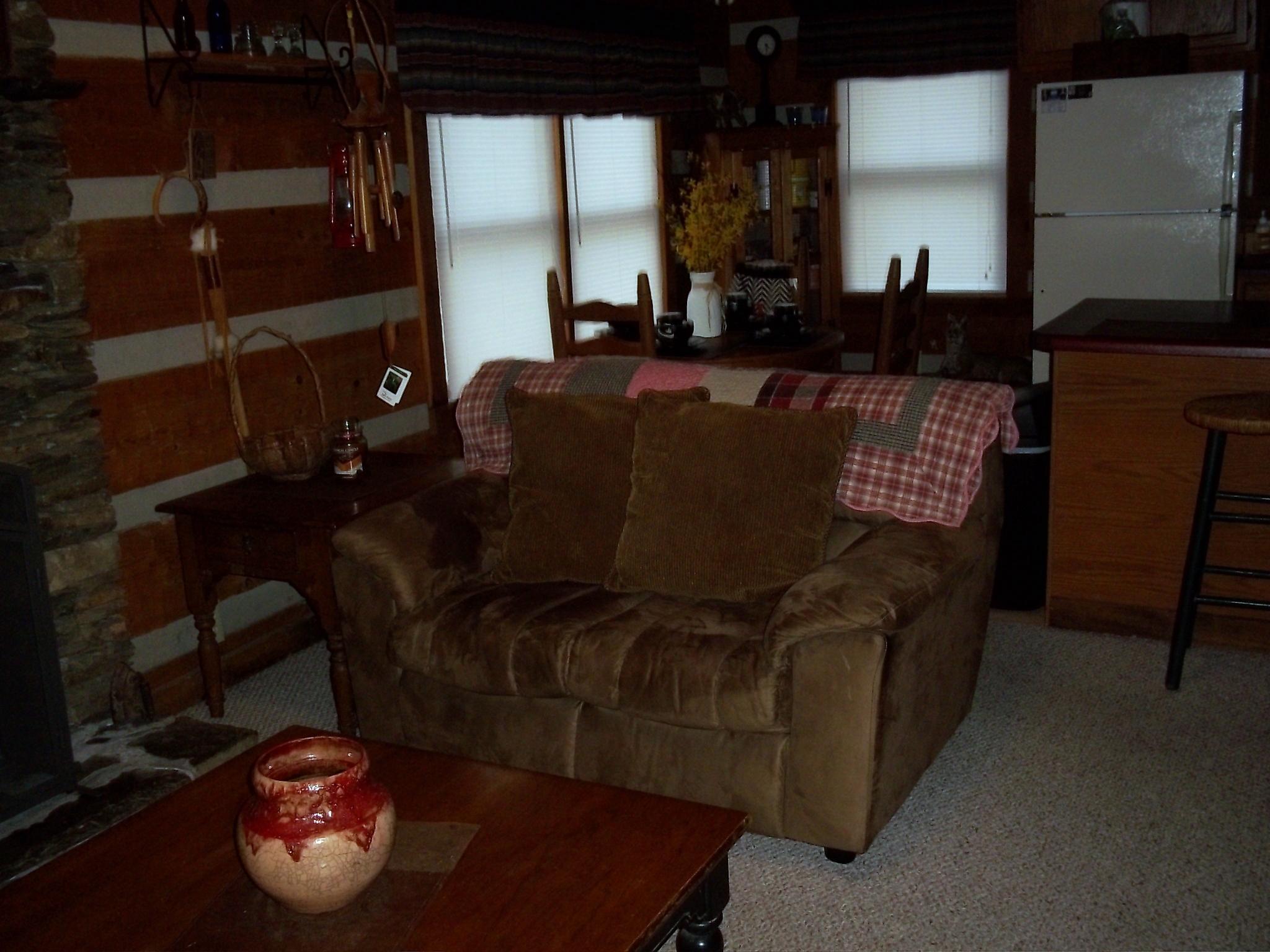111 Timberwinds Way Townsend, TN 37882 - Photo 5 of 20 Living Room