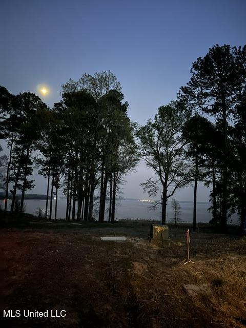 Lot 23 Neptune Shore Canton, MS 39046 - Photo 13 of 20 IMG_0424