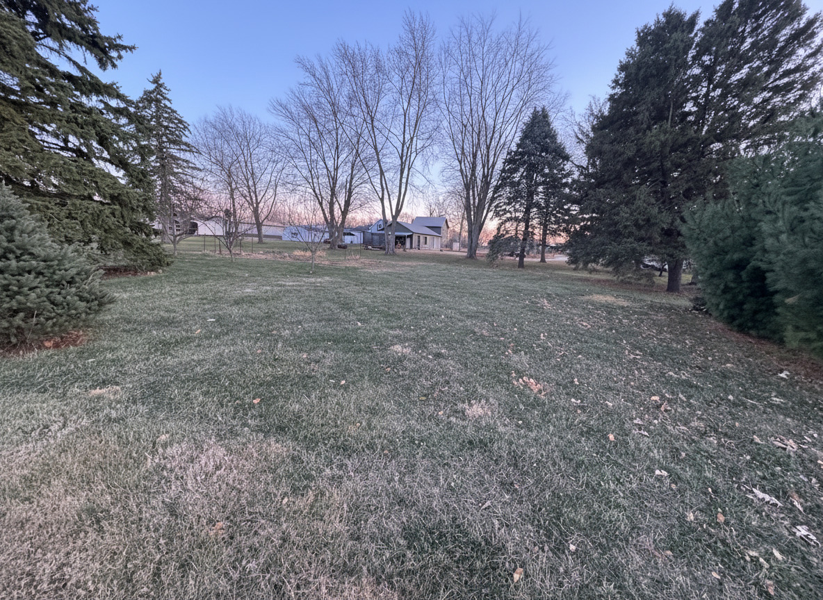 912 East Locust Street Fairbury, IL 61739 - Photo 4 of 4 a view of large trees with big trees
