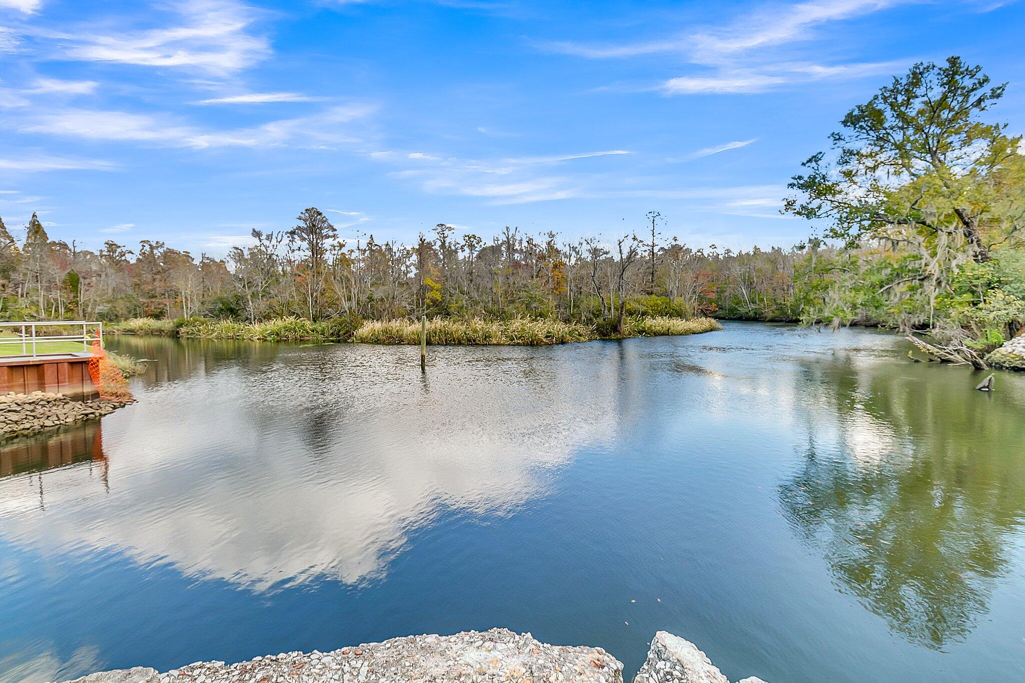 1344 Hard Pinch Road Moncks Corner, SC 29461 - Photo 44 of 48 CREM - 1344 Hard Pinch Rd-87
