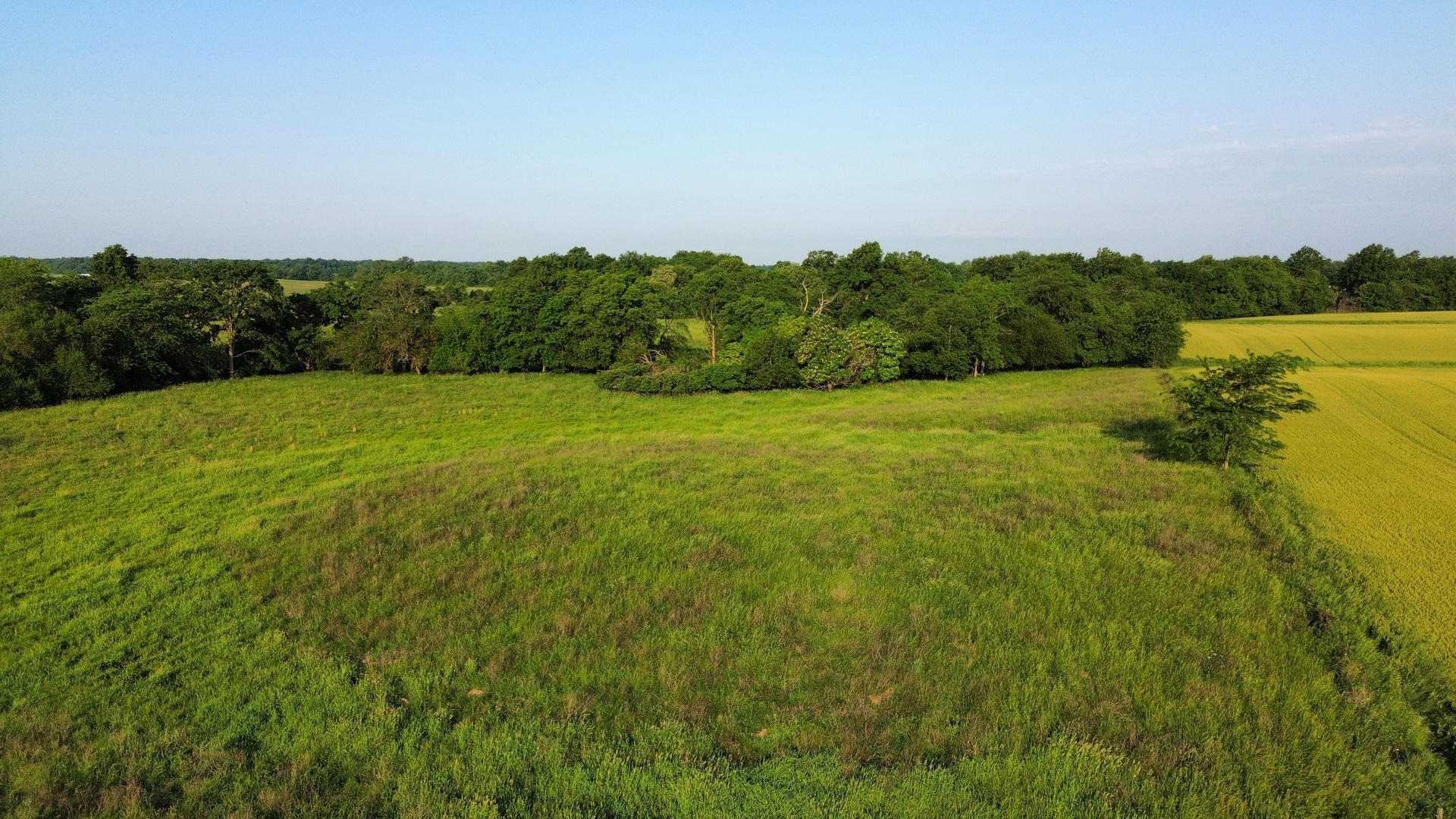 0 County Highway 29 Road Rinard, IL 62878 - Photo 12 of 28