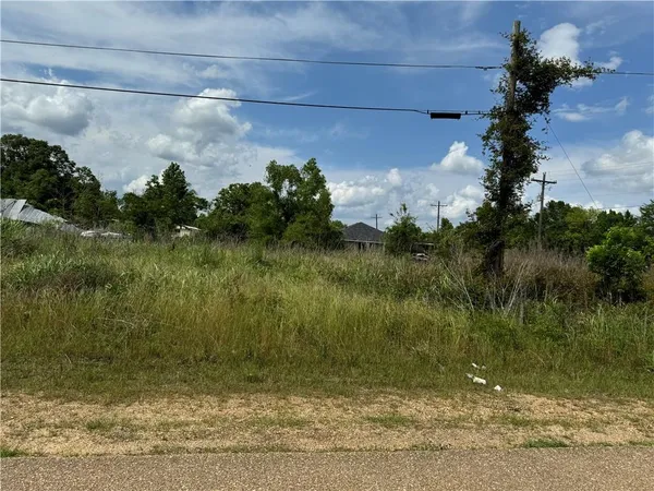 $45,000 | 0 Tangipahoa Avenue, Roseland, LA 70456